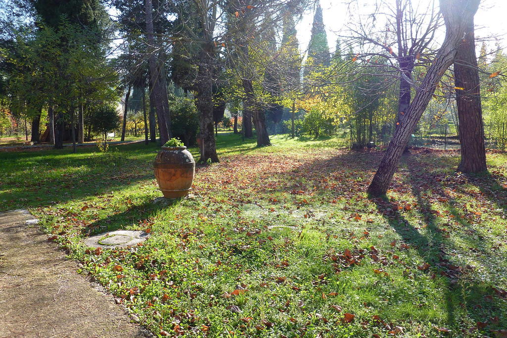 Villa Giarradea コルトーナ エクステリア 写真